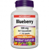 Blueberry 500 mg Webber Naturals Blueberry 500 mg Webber Naturals