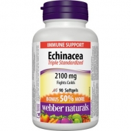 Echinacea 2100 mg Webber Naturals Echinacea 2100 mg Webber Naturals