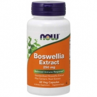 Boswellia extract 250 mg Now Foods Boswellia extract 250 mg Now Foods