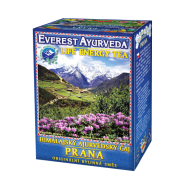 ČAJ PRANA - Povzbudenie vitality a životnej energie ČAJ PRANA - Povzbudenie vitality a životnej energie