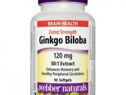 Ginkgo Biloba 120 mg Webber Naturals