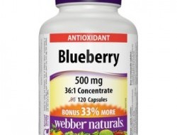 Blueberry 500 mg Webber Naturals