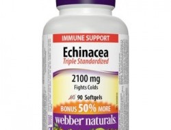 Echinacea 2100 mg Webber Naturals