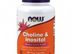 Choline & Inositol 500 mg Now Foods 