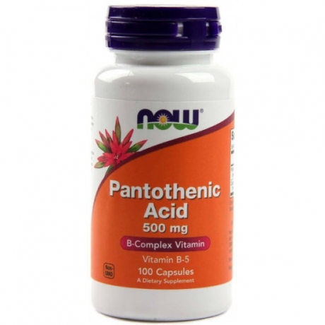 Pantothenic Acid 500 mg Now Foods